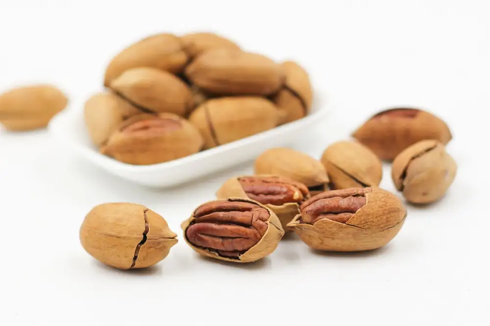 Survival Protein